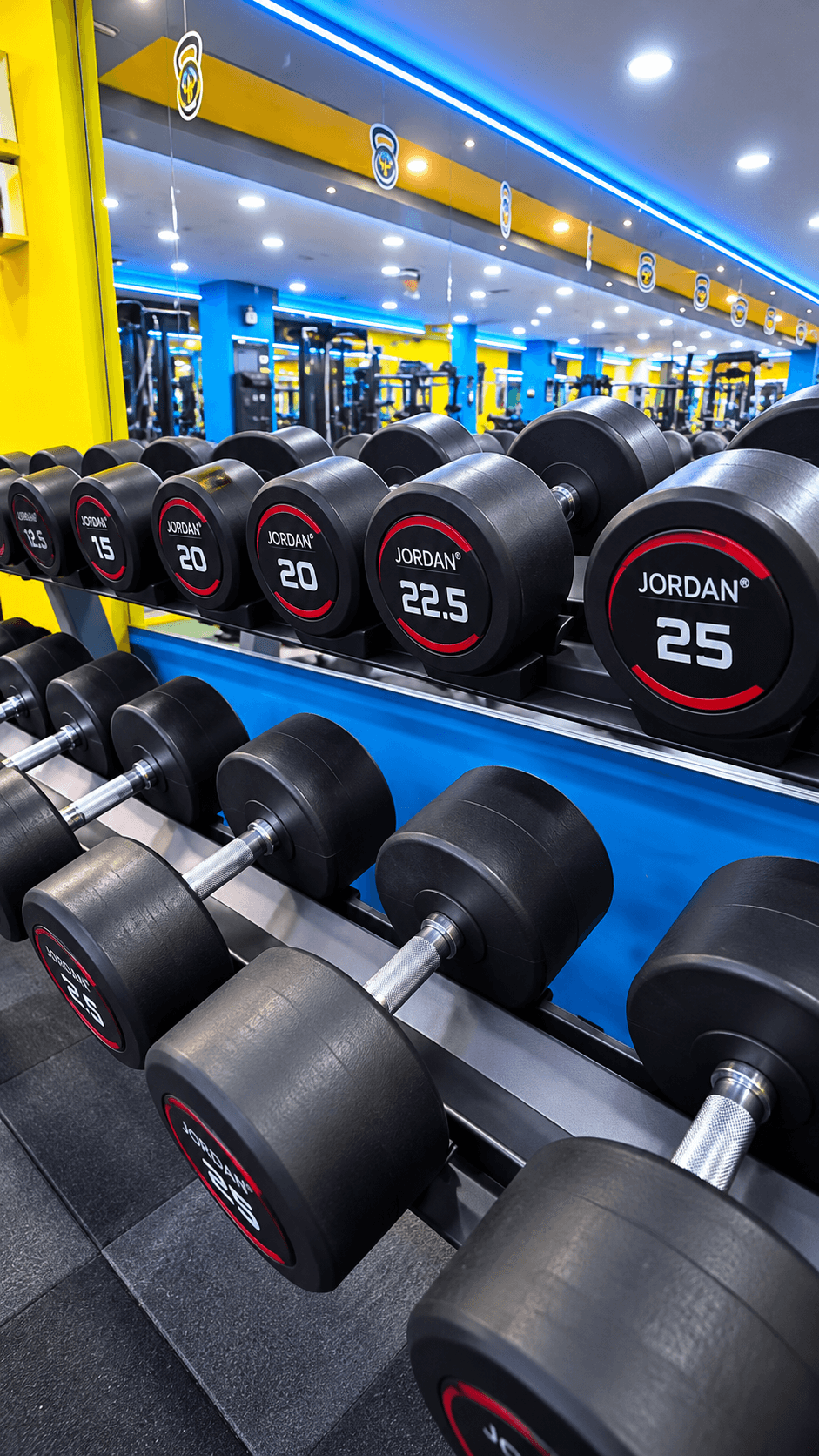 Jordan Free Weights and Dumbbell Section with Ambient Neon